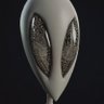 The Extraterrestrial Experience's profile picture