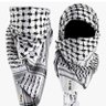 Naiem Abbas's profile picture