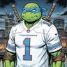 Titans Turtle🥷🐢's profile picture