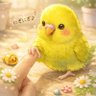 yomi's profile picture