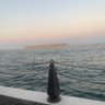 010 profil fotoğrafı