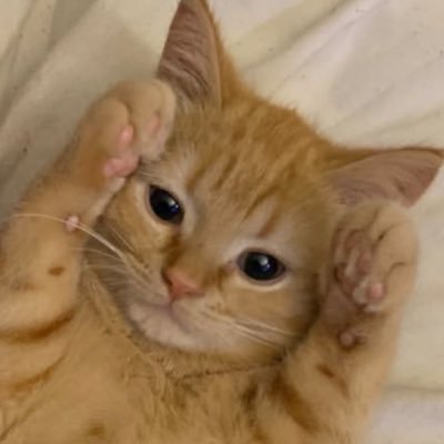 S's profile picture