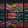 tairant profil fotoğrafı