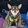 熊谷のりこ profil fotoğrafı
