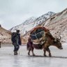 Фото профиля محمد دانش