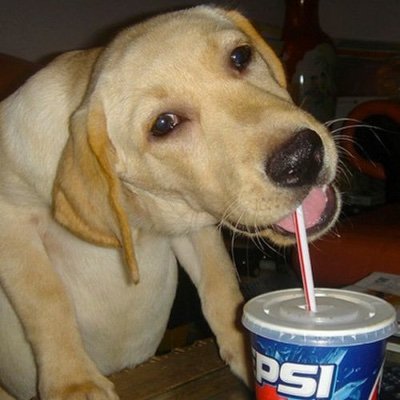 bubbleboi's profile picture