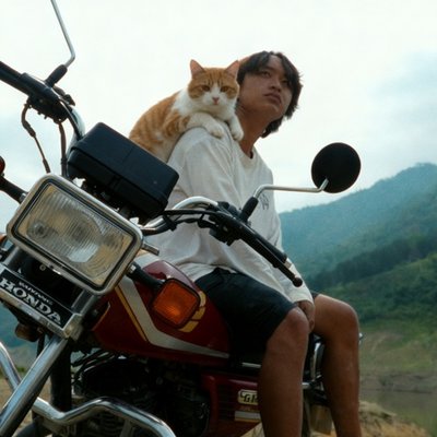adiaomountain's profile picture