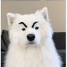 john kelly's profile picture