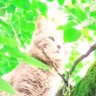 うた 📖φ(*´∀`=)メモメモ♪︎ 散らかり帳 profil fotoğrafı