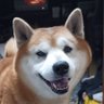 Фото профиля はっちゃん