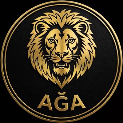 Mehmet AĞA's profile picture