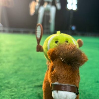 Zhikai273's profile picture