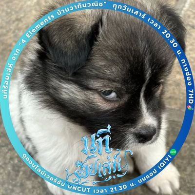 inanzill💞Call me คุณหนูแดง(แม่อาโป วาทินวนิช)'s profile picture