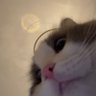 find's profile picture