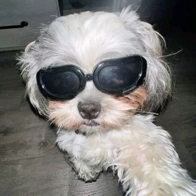 dream_no_24's profile picture