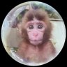 mara profil fotoğrafı