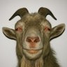 THE GOAT⚽️🐐's profile picture