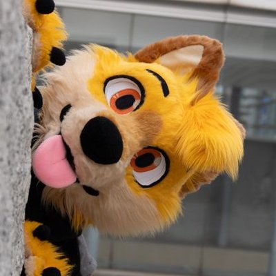 Ley DingoFox's profile picture