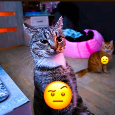 Tyrux77's profile picture