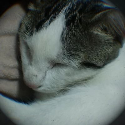 _namniao's profile picture