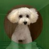 はにらんらん 的头像