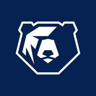 BearsFanTV's profile picture