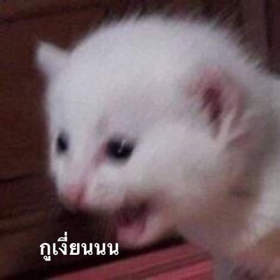 warpkuyunai's profile picture