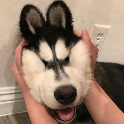 ffragilee__'s profile picture