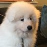 Profilbild von r ปิ่นสีแก้ว