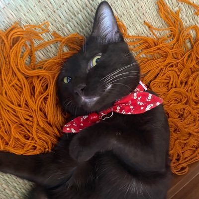 meenizz's profile picture