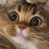 บุญบว ༘⋆🥨's profile picture