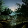 هلال's profile picture
