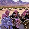 Фото профиля شيبان الديره