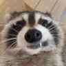 Tatogzlz! profil fotoğrafı