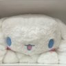 Bunni's profile picture