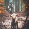 Фото профиля momster