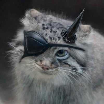 TaoistShelby's profile picture