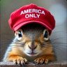 Фото профиля Ricky 🐊🇺🇸🇺🇸🇺🇸