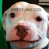 Profilbild von Goof Central Wrestling Edition