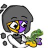 PE-NA's profile picture