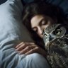 Night Owl 的头像