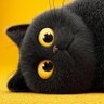 Cosmo's profile picture