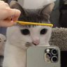 Profilbild von ก้วย.😼