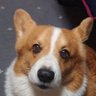 たけやん profil fotoğrafı