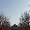 Фото профиля Meibao