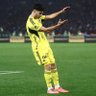 Marco Asensio's profile picture