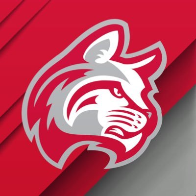 Indiana Wesleyan University Wildcats's profile picture