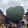 zhu 的头像
