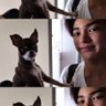 kayi 的头像