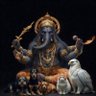 dark_elf's profile picture